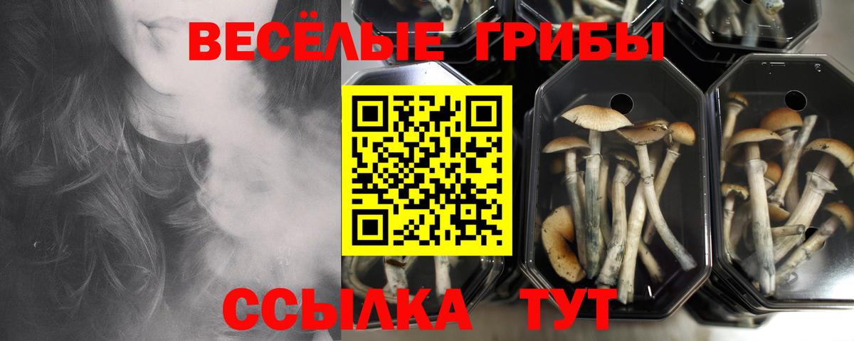Сызрань  Галлюциногенные грибы Magic Shrooms  Вход с VPN  Галлюциногенные грибы Cubensis 